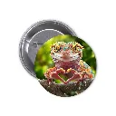 Chameleon Pin-back Button (05)